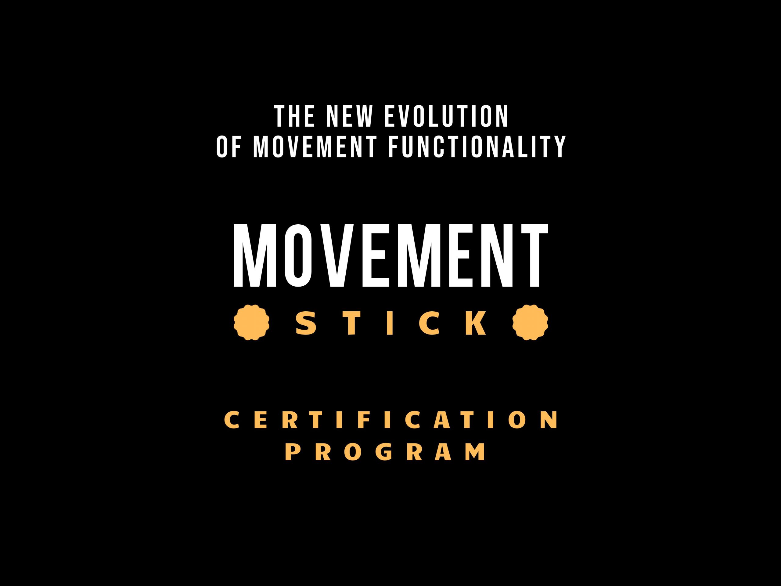 Movement Stick Coach – certification course